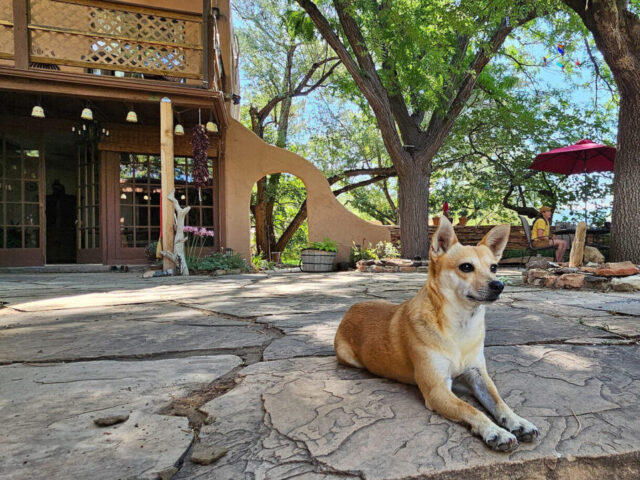 Ancient Echoes at Kelly Place