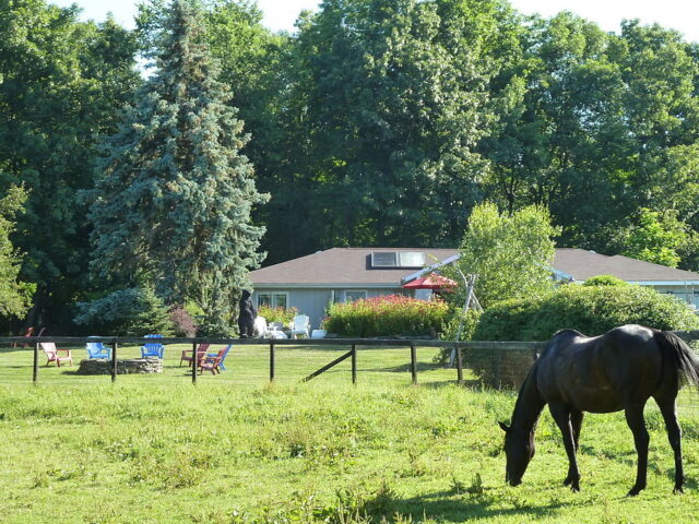 Whistlewood Farm Bed And Breakfast